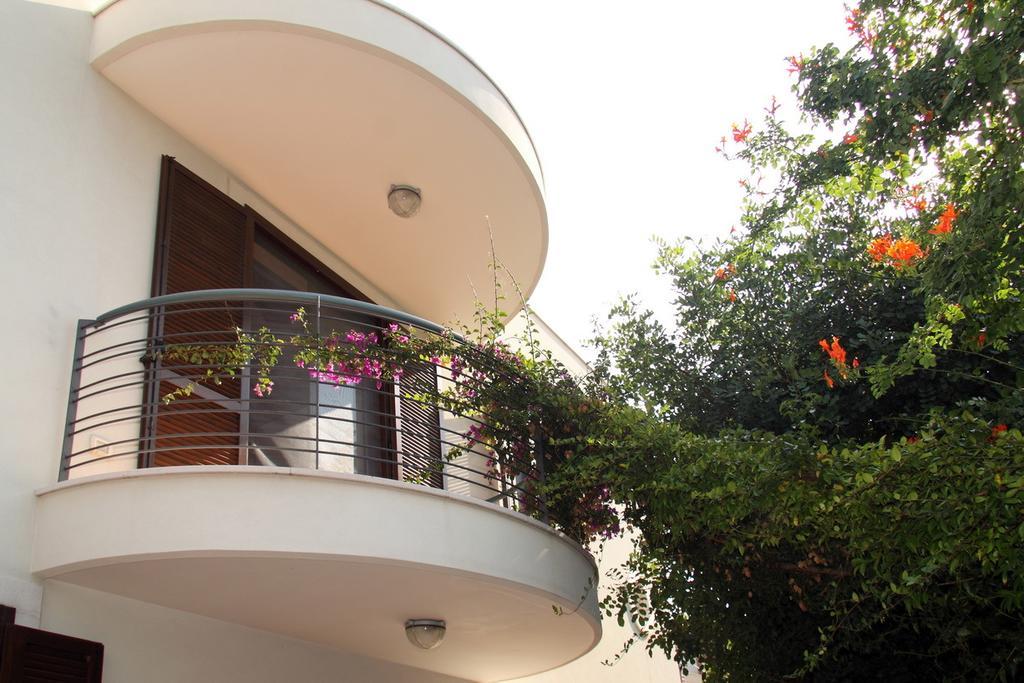 B&B Villa Il Sughero 莫诺波利 外观 照片
