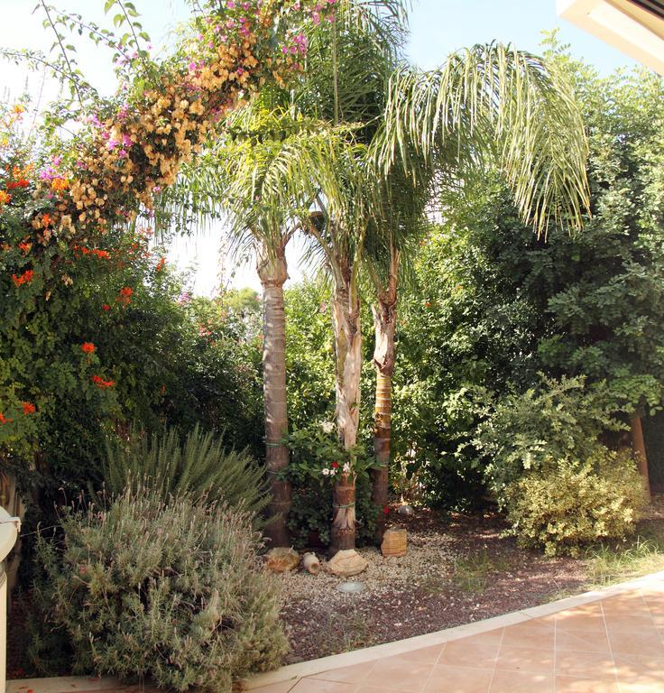 B&B Villa Il Sughero 莫诺波利 外观 照片